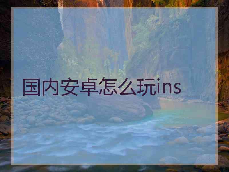 国内安卓怎么玩ins