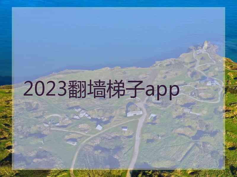 2023翻墙梯子app