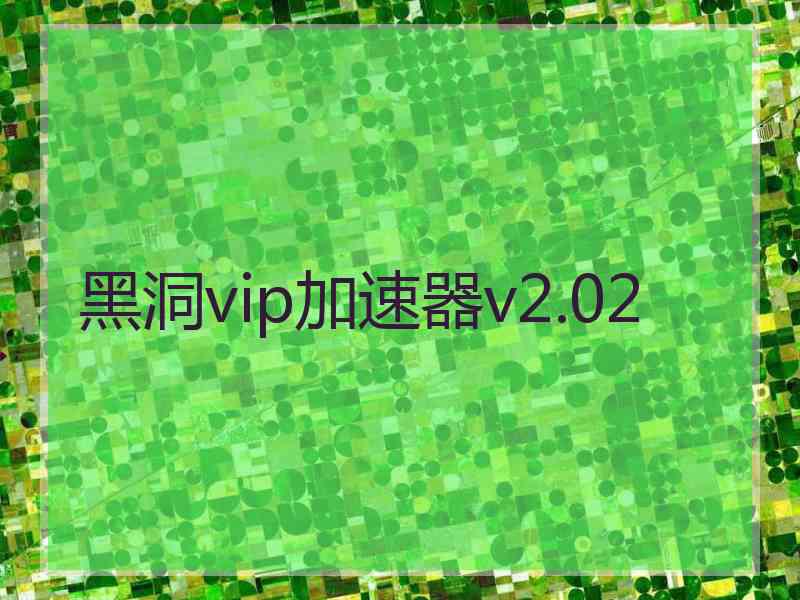 黑洞vip加速器v2.02