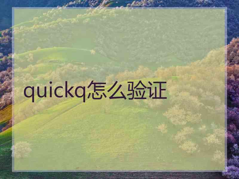 quickq怎么验证