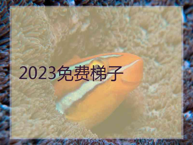 2023免费梯子