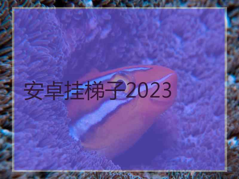 安卓挂梯子2023