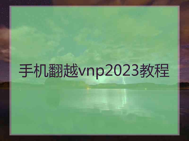 手机翻越vnp2023教程