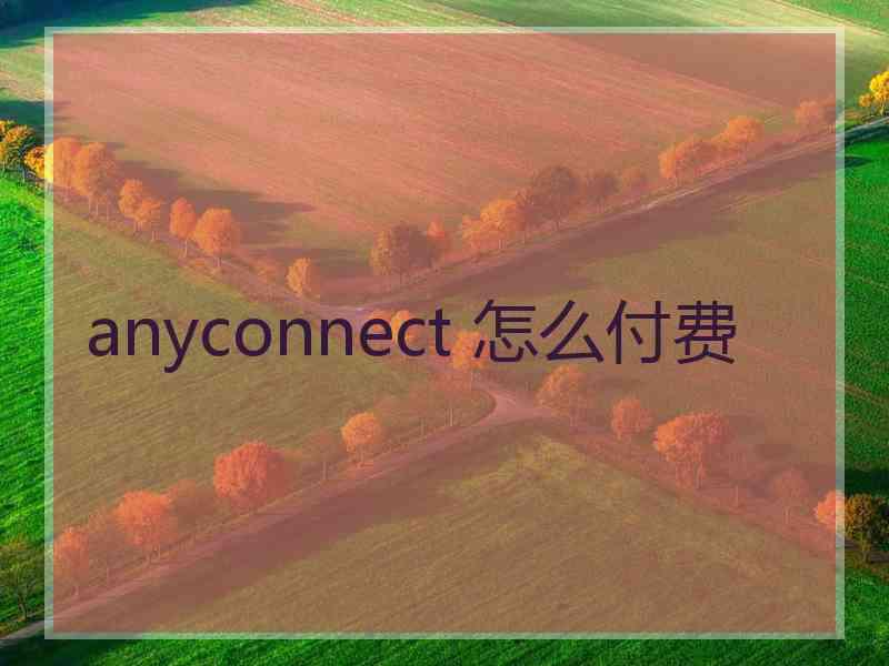 anyconnect 怎么付费