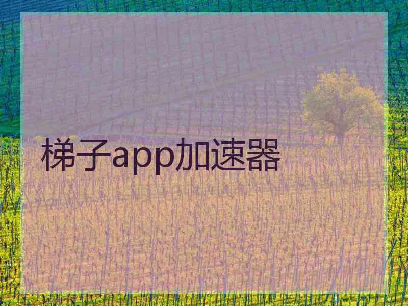 梯子app加速器