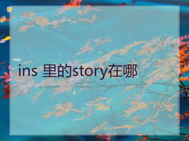 ins 里的story在哪