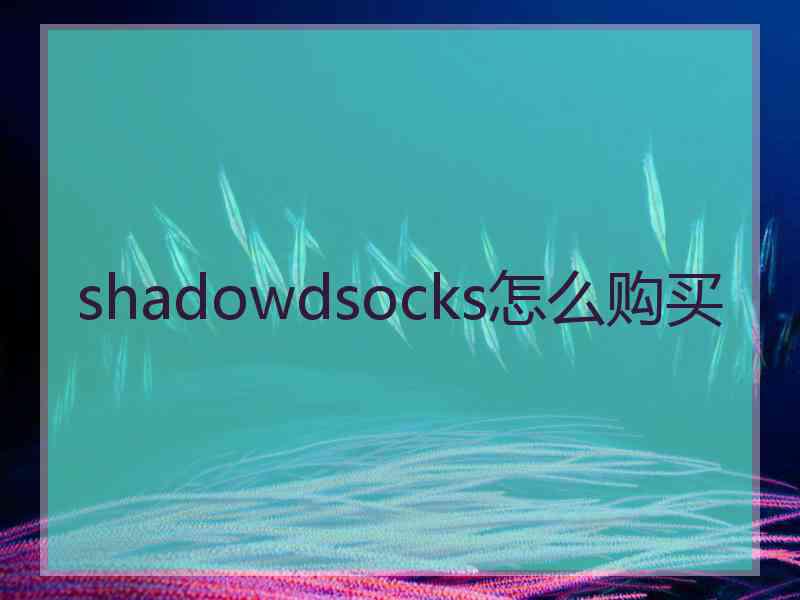 shadowdsocks怎么购买