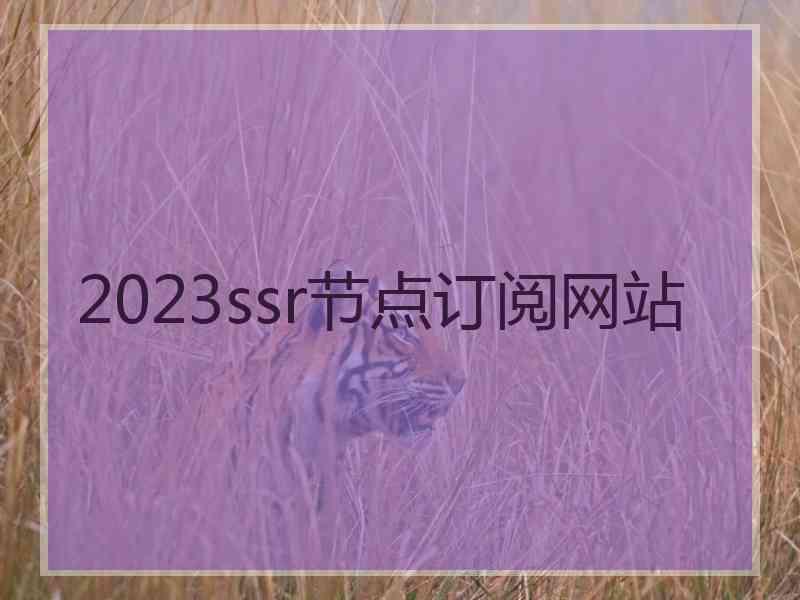 2023ssr节点订阅网站