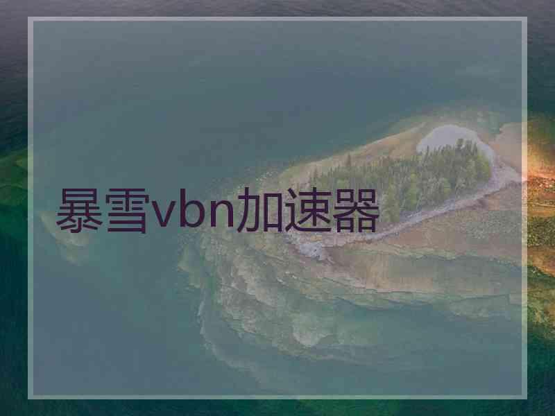 暴雪vbn加速器