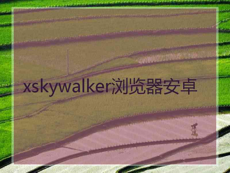 xskywalker浏览器安卓