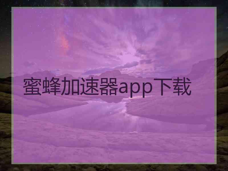 蜜蜂加速器app下载