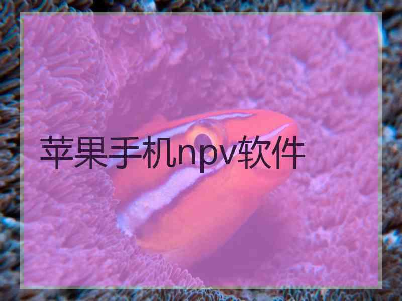 苹果手机npv软件