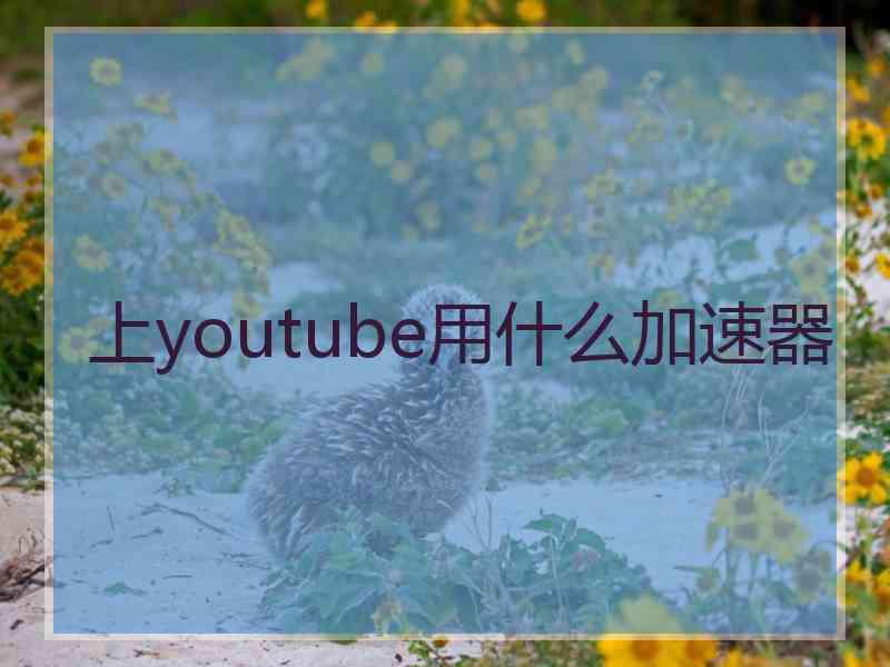 上youtube用什么加速器