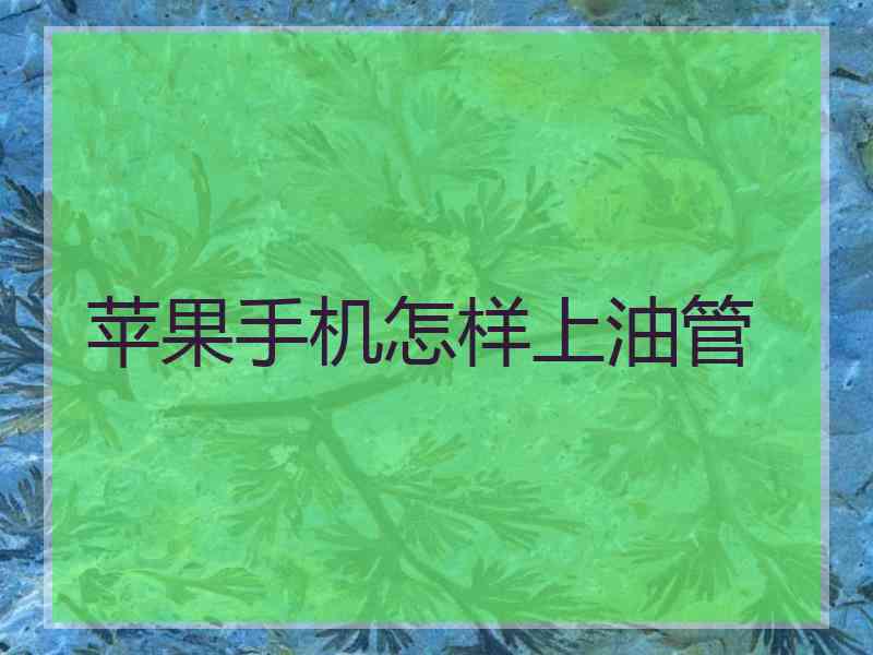 苹果手机怎样上油管