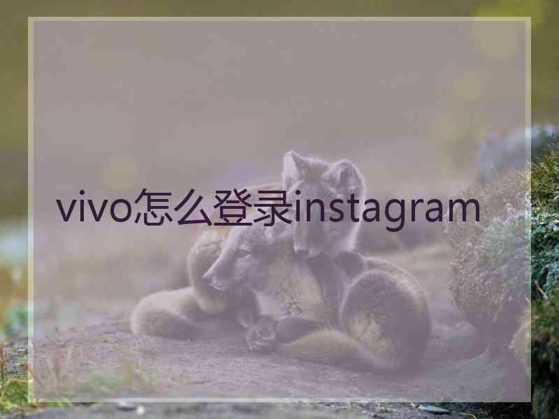 vivo怎么登录instagram