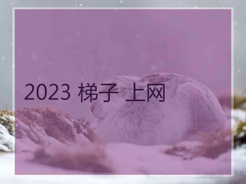 2023 梯子 上网