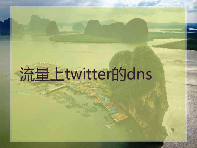 流量上twitter的dns