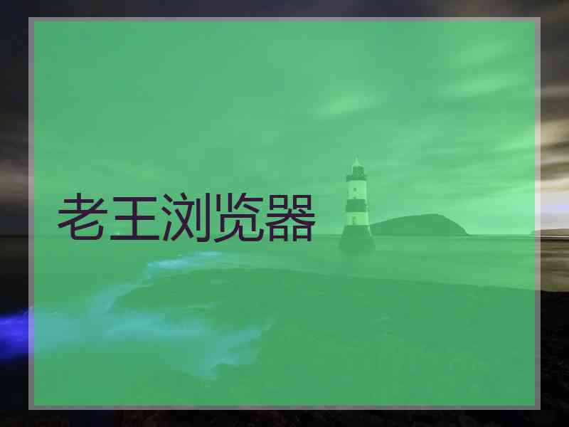 老王浏览器