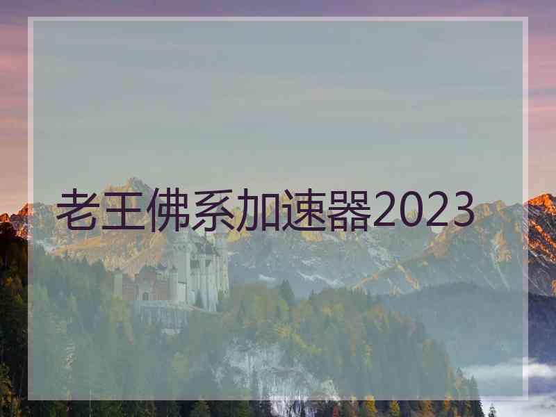 老王佛系加速器2023