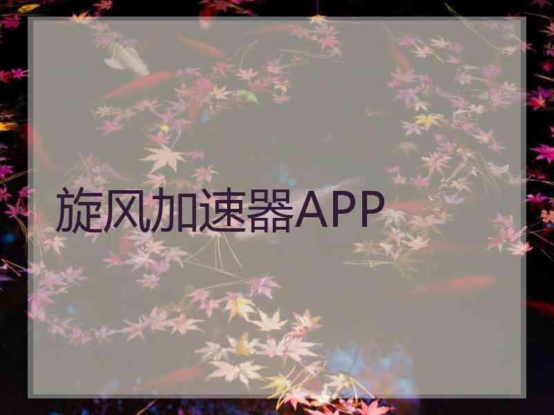 旋风加速器APP