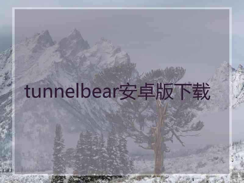 tunnelbear安卓版下载