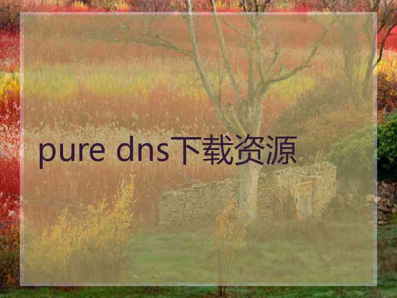 pure dns下载资源