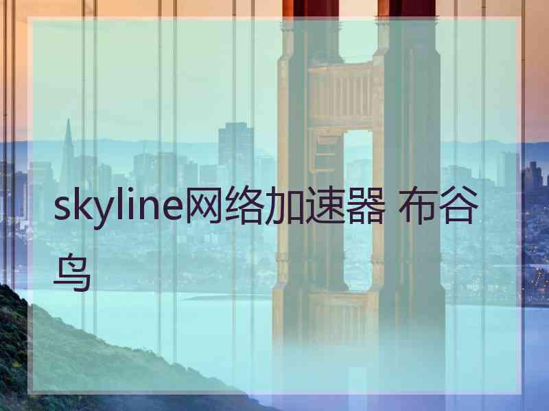 skyline网络加速器 布谷鸟