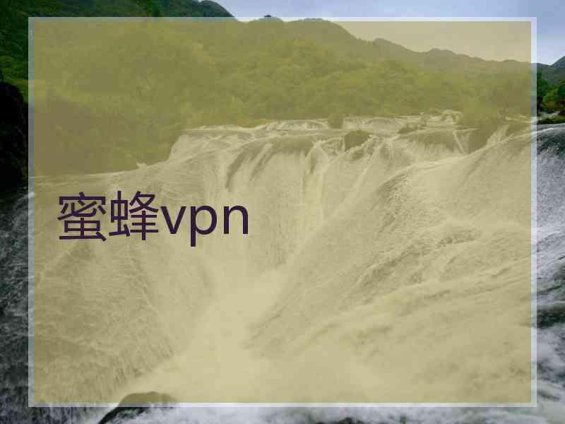 蜜蜂vpn