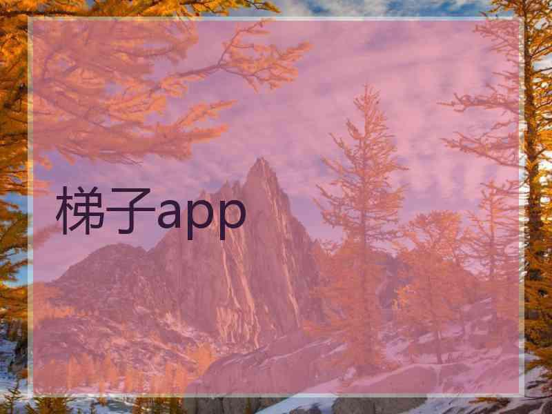 梯子app