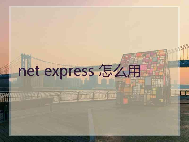 net express 怎么用