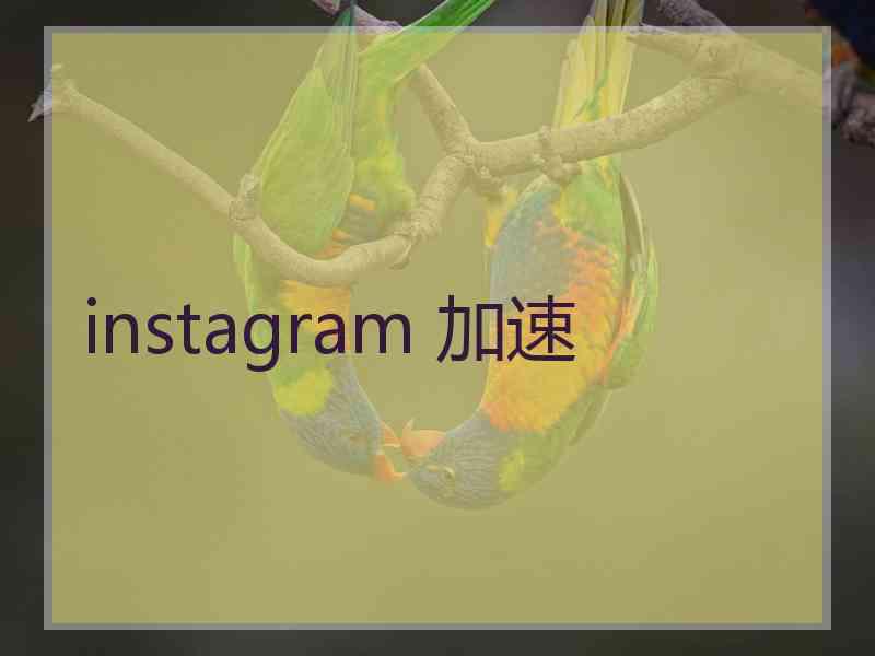 instagram 加速