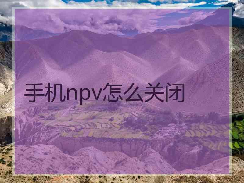 手机npv怎么关闭