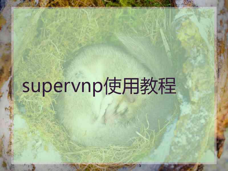 supervnp使用教程