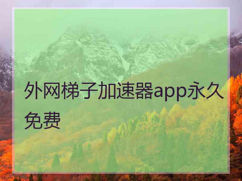 外网梯子加速器app永久免费