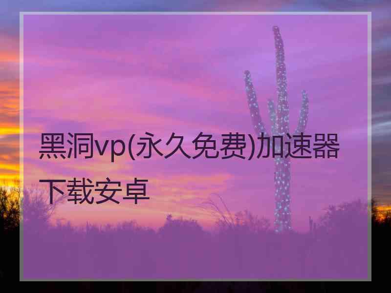 黑洞vp(永久免费)加速器下载安卓