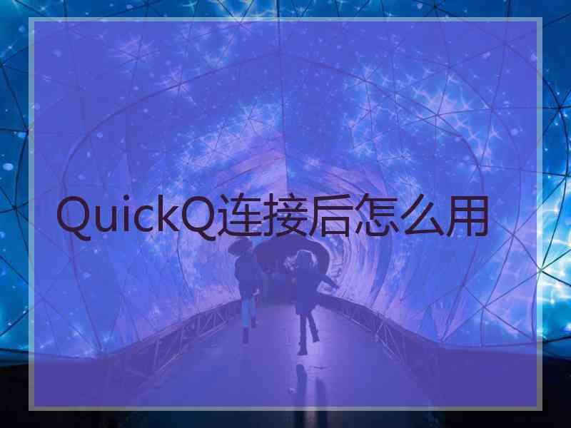 QuickQ连接后怎么用