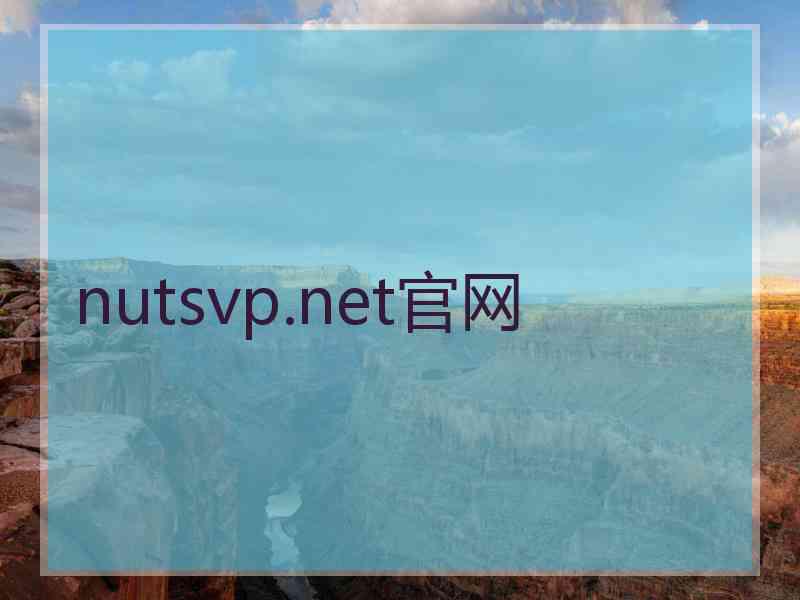 nutsvp.net官网