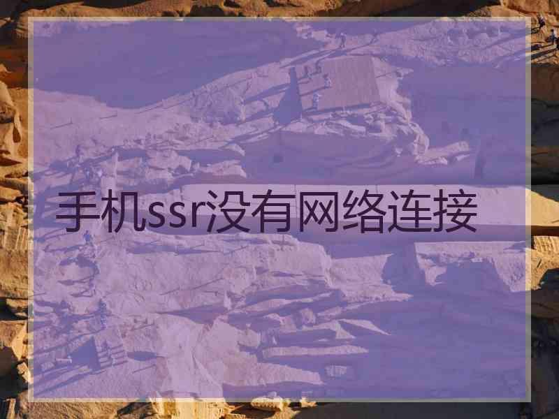 手机ssr没有网络连接