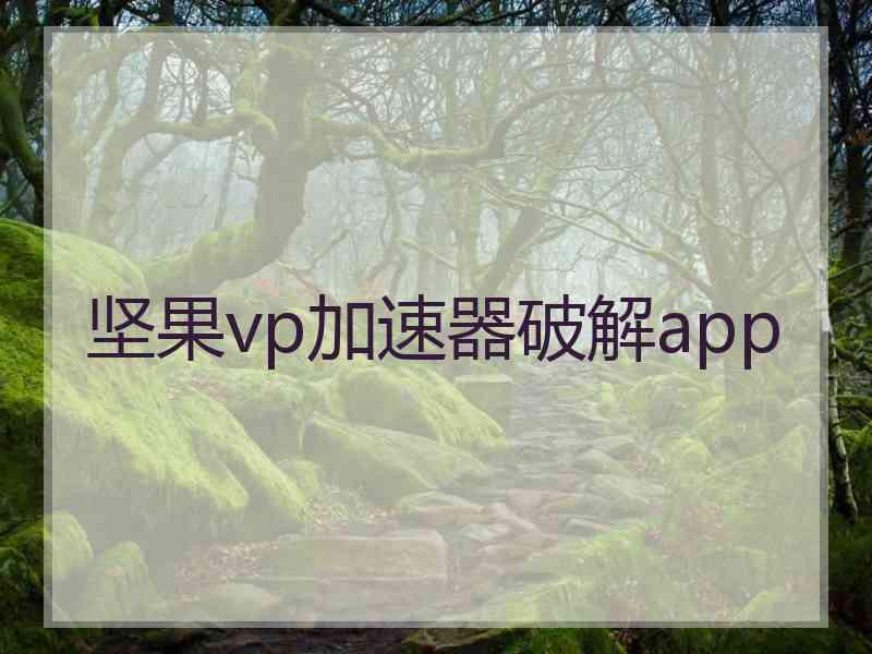 坚果vp加速器破解app