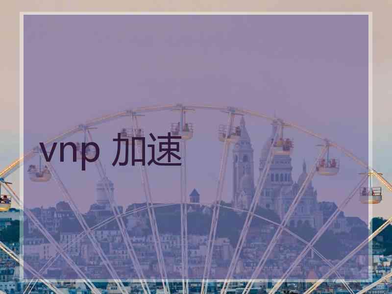 vnp 加速