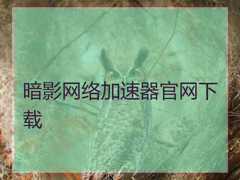 暗影网络加速器官网下载