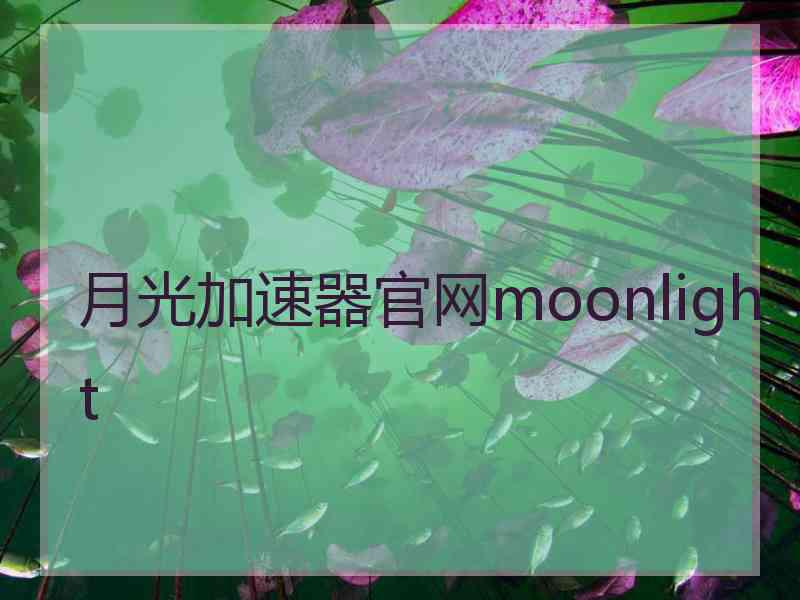 月光加速器官网moonlight