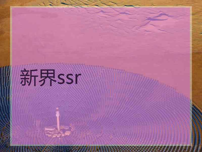 新界ssr