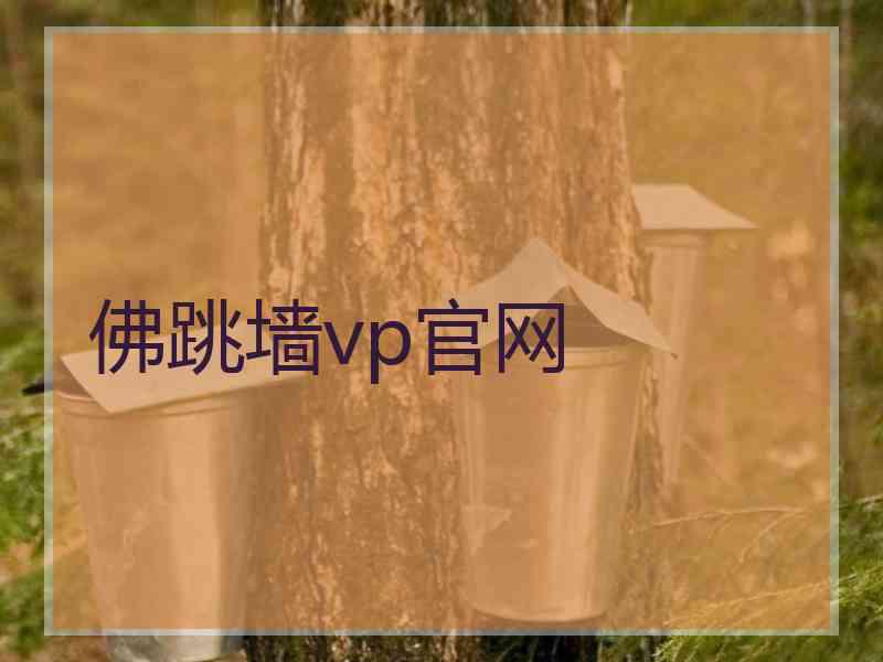 佛跳墙vp官网