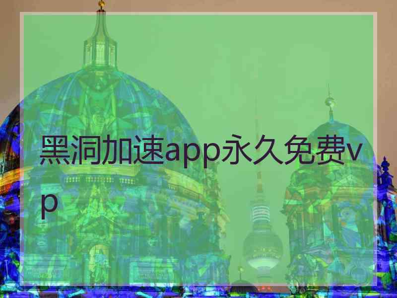 黑洞加速app永久免费vp