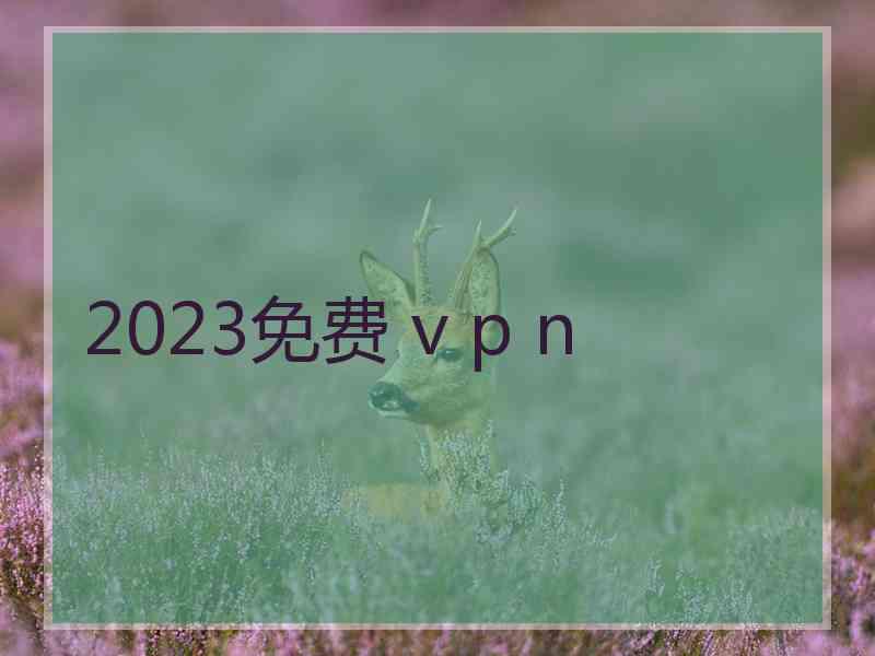 2023免费 v p n