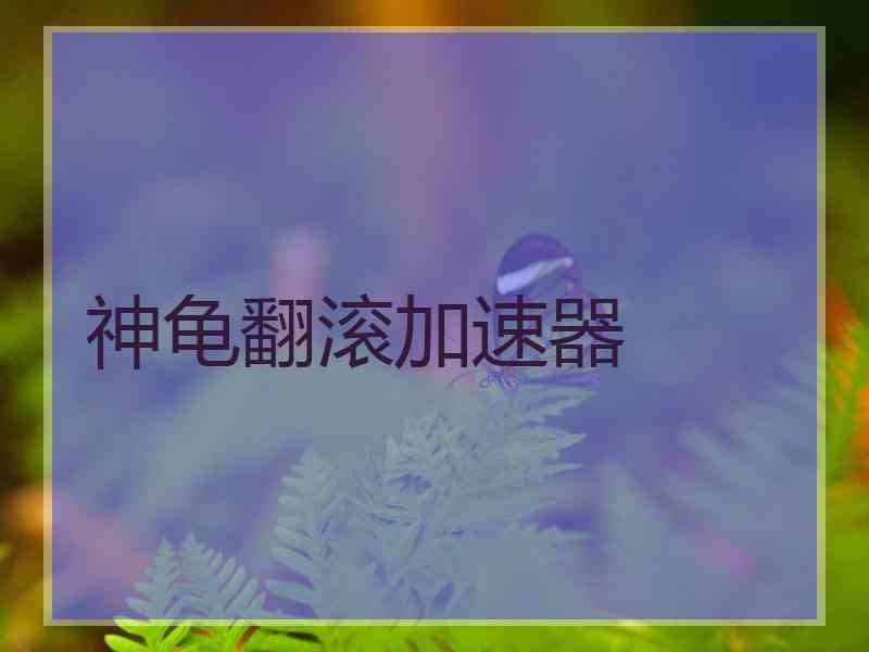 神龟翻滚加速器