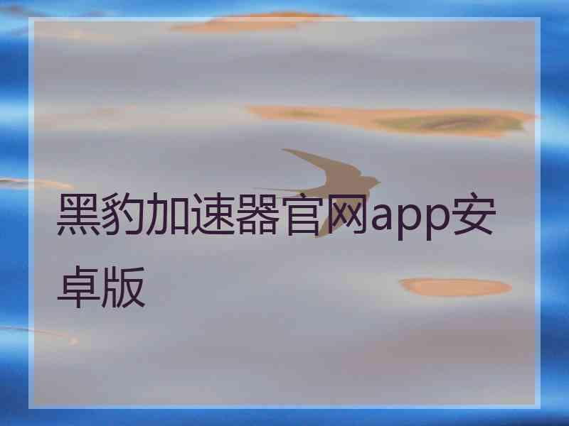 黑豹加速器官网app安卓版