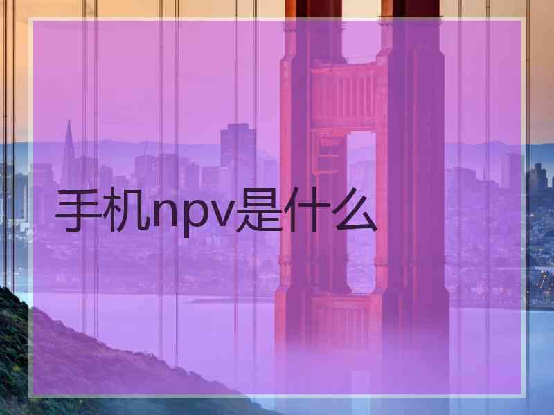 手机npv是什么