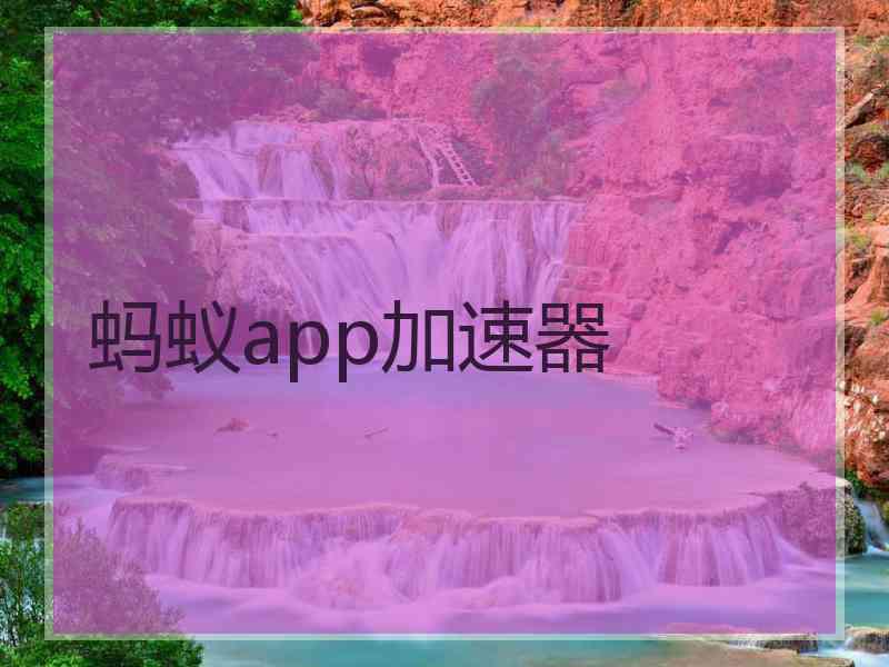 蚂蚁app加速器